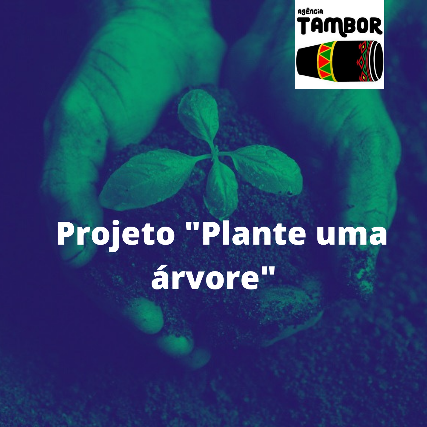 A campanha Plante uma árvore Agência Tambor