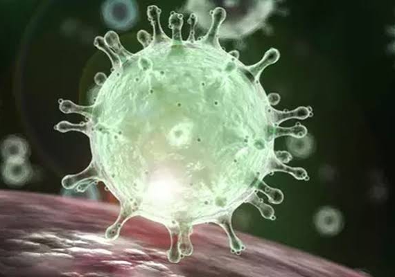 O novo coronavírus gera alerta no Brasil