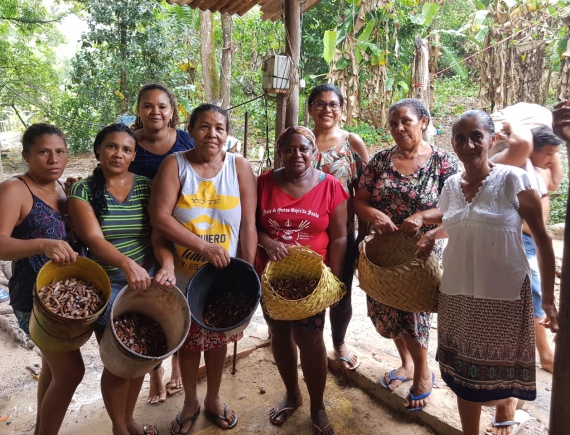 Pesquisadores destacam luta das quebradeiras de coco