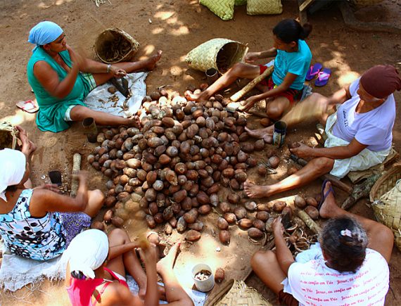 Quebradeiras de coco se organizam para lutar em favor da vida