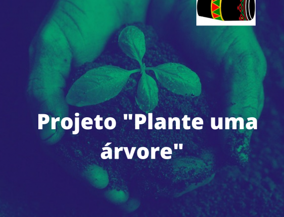 A campanha “Plante uma árvore”