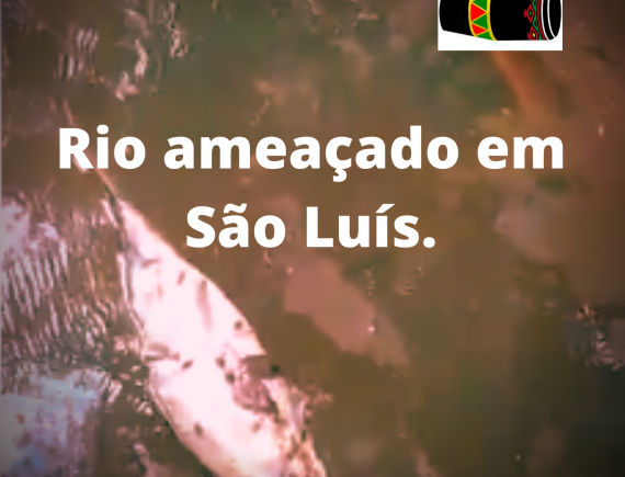 A Poluição do Rio da Ribeira em São Luís.