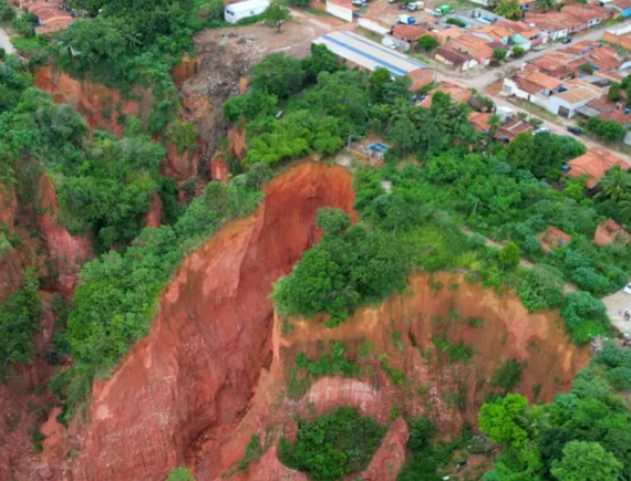 Desmatamento! Professor da UFMA fala sobre calamidade em Buriticupu