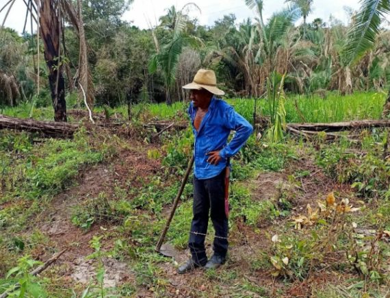 Barbárie! Maranhão e Rondônia lideram ranking de assassinatos por conflitos de terras