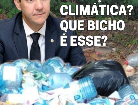 Pra além do cercadinho! Lixo no mangue é exemplo de crimes praticados em São Luís