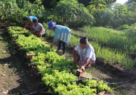 Feira Maranhense da Agricultura Familiar – FEMAF