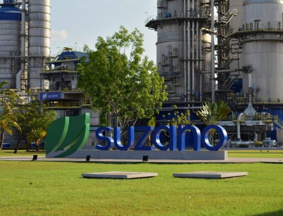 Suzano denunciada por questões trabalhistas e agressões ambientais