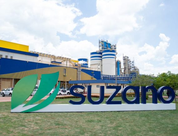 Denúncia! Suzano paga mais para trabalhadores de São Paulo e menos para os do Maranhão