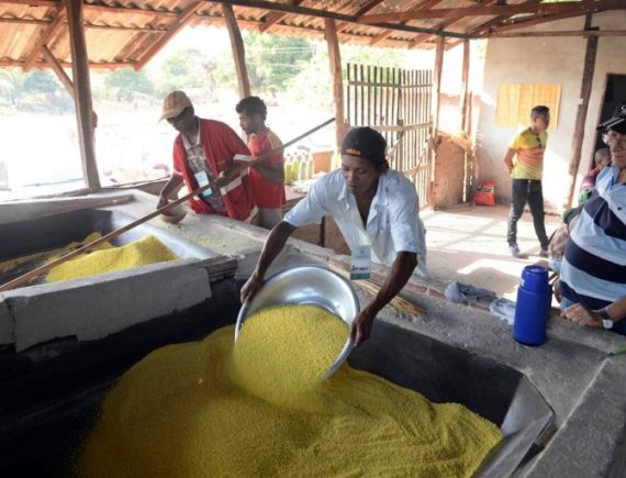 Povos e comunidades tradicionais! Posse da terra é fundamental para soberania alimentar no Maranhão