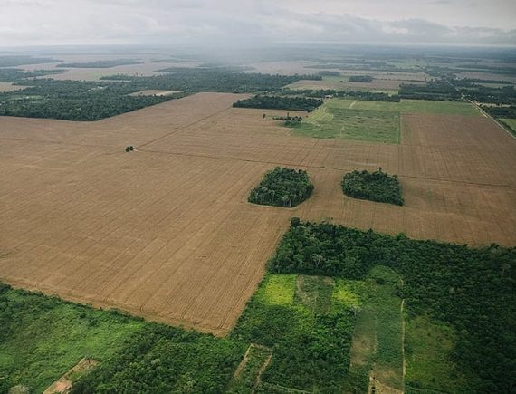 Parnarama: Plantadores de soja no Maranhão são denunciados por inúmeras práticas de violência