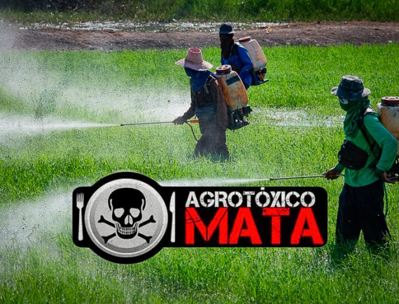 São Mateus: Conflito provocado por pulverização de agrotóxicos resulta em morte