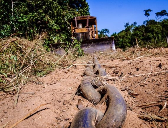 É trágico! Congresso Nacional da CPT expõe Maranhão como região de maior violência no campo