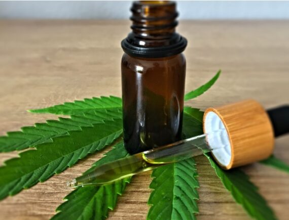 Uso medicinal da Cannabis: GT entrega Nota Técnica ao Ministério da Saúde e Anvisa