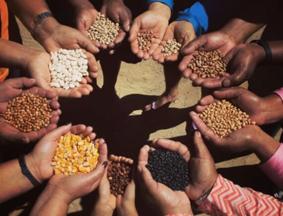 Economia popular e solidária ganha reforço no Maranhão