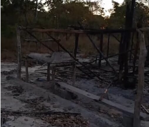 Denúncia: mais de mil hectares de mata nativa destruída em Chapadinha