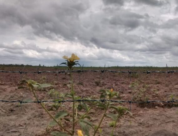 Comunidades rurais Magalhães de Almeida e São Bernardo são alvo de balas e ameaças