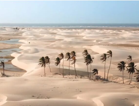 Comunidade denuncia privatização de área de preservação em Tutóia