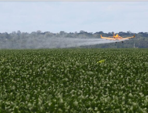 E a solução? A COP 30 acaba e a violência do agronegócio só aumenta no Maranhão