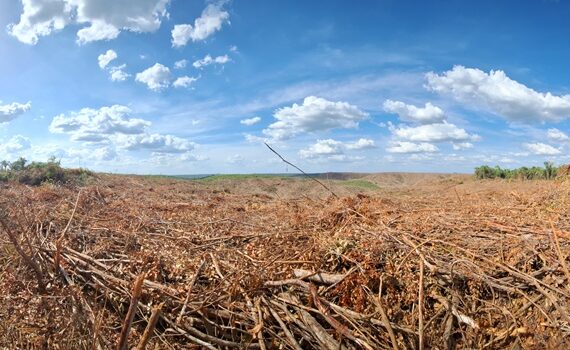 O agro é morte: a guerra pelas terras quilombolas no Maranhão
