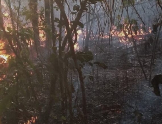 Codó: novos ataques ameaçam o Quilombo São Benedito dos Colocados