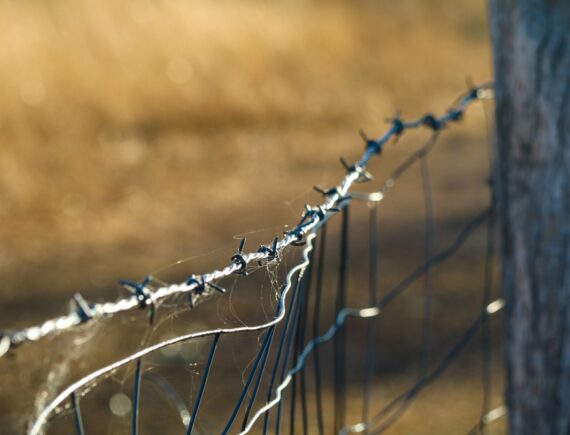 Desumanidade: comunidade sem água e energia sofre violência do agronegócio em terras garantidas por lei