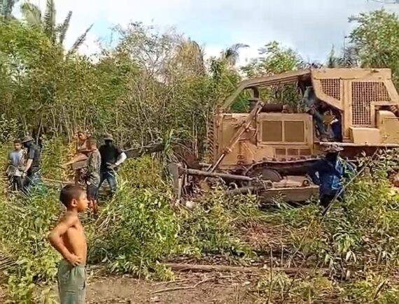 Invasão do agronegócio! Quilombo Cancela tem colheita destruída