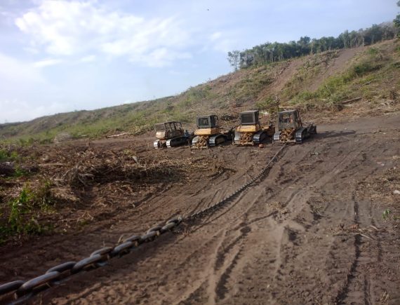Espera mortal em São Benedito: avanço do agronegócio expõe urgência por titulação dos quilombos