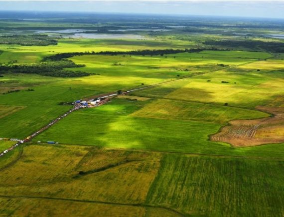 Agrotóxico e drama no Maranhão: Fóruns e Redes pedem liberdade para Wallem