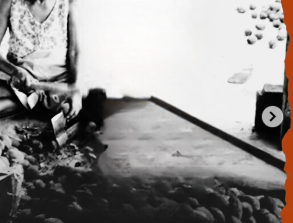 Na reta final de inscrições: exposição “Teimosia de Viver” mobiliza povos do campo no Maranhão