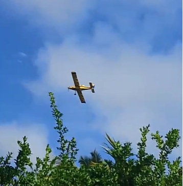 São Benedito do Rio Preto: pulverização de agrotóxicos em quilombo reforça graves denúncias
