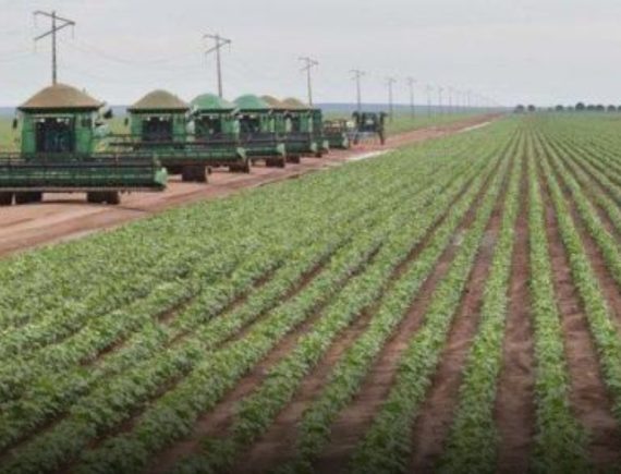 Ex-presidente da Assembleia Legislativa subornando ex-presidente do Tribunal de Justiça expõe problema político e econômicos do Maranhão