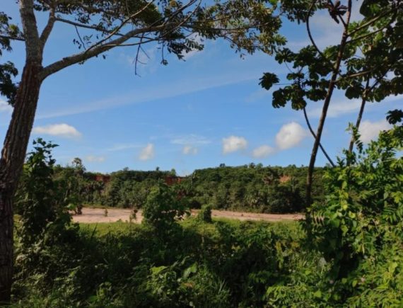 Plenária em São Luís mobiliza movimentos pela criação da Resex Tauá-Mirim