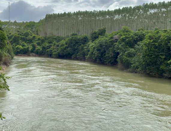 Justiça após 11 anos: condenação por morte de defensor ambiental expõe padrão de violência no campo