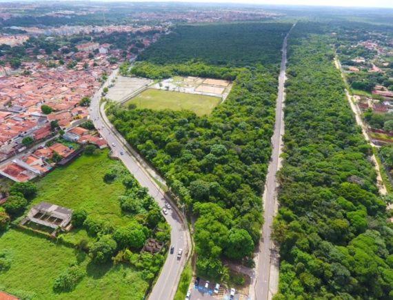 Área de proteção ambiental do Itapiracó chega aos 29 anos cercada por ameaças