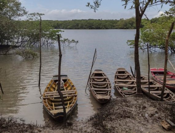 Resex Tauá-Mirim: interesses empresariais ameaçam território essencial à vida em São Luís