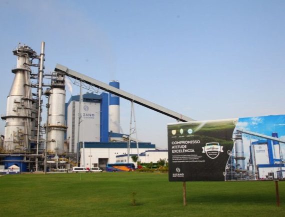 Campanha salarial na Suzano cobra ganho real,  contratações e igualdade