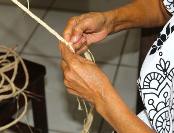 Arte em Fibra: mulheres transformam saberes tradicionais em oportunidades de renda no Maranhão